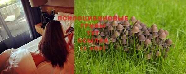 jwh Вяземский