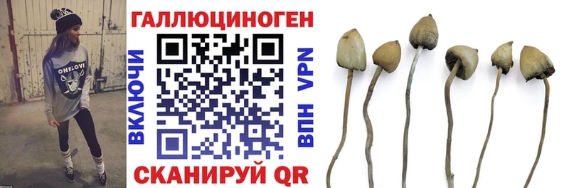 Псилоцибиновые грибы ЛСД  Каменск-Шахтинский 